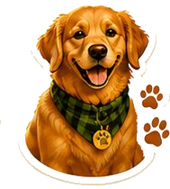 Scout